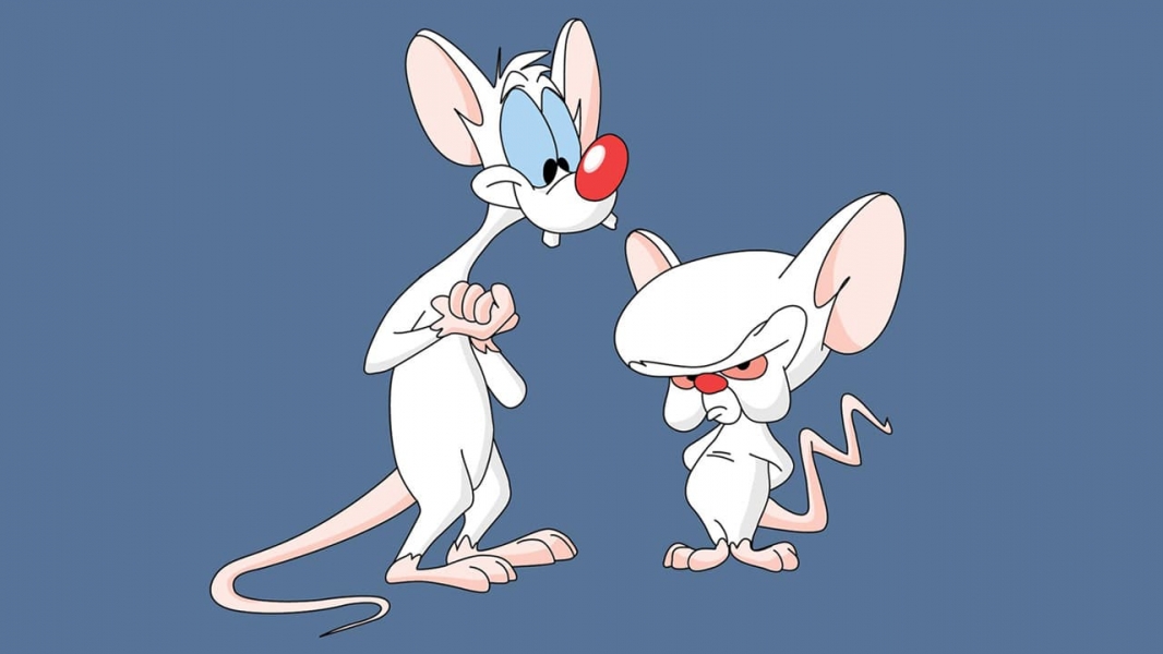 Watch Pinky And The Brain Full HD On Soap2Day Free   17c71147df9ccf6adb5704a3105c685b 