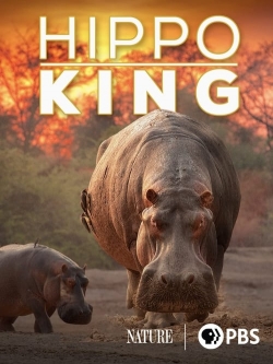 Hippo King