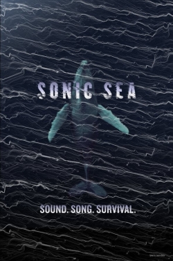 Sonic Sea