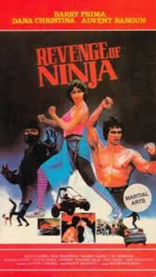 Revenge of the Ninja