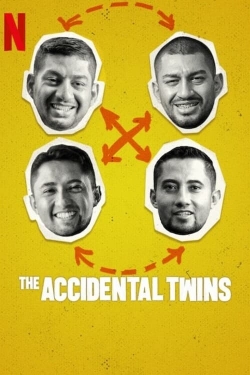 The Accidental Twins-soap2day
